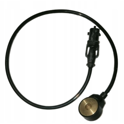 Czujnik Spalania Stukowego BRP Sea-Doo Can-Am 420664031