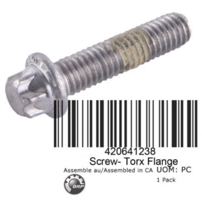 Śruba Torx M6 x 25 BRP Sea-Doo 420641238