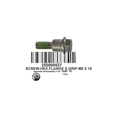 Śruba Jet Pompa iBR Support M8 x 18 BRP Sea-Doo 250000927