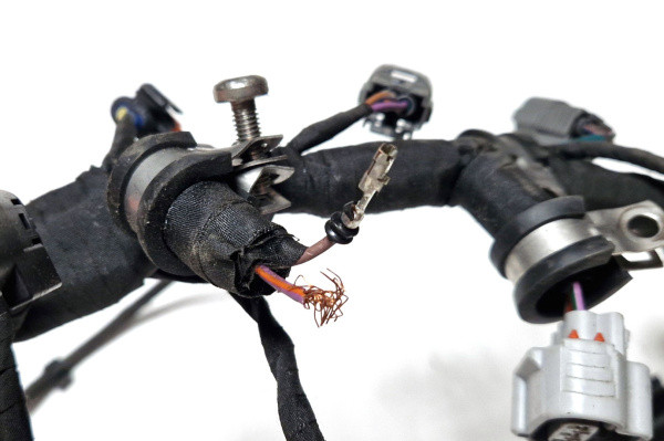 Wiązka Silnika Sea-Doo Spark 90km 21-22