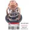 Termostat Yamaha 1050 1100 1800 1900 06-