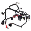 Wiązka Przewodów Sea-Doo Spark 19-23