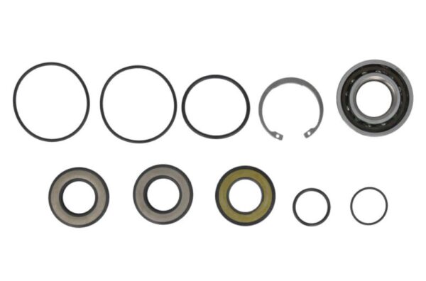 Zestaw Naprawczy Pompa WSM Sea-Doo GTI GTR GTX RXP RXT WAKE