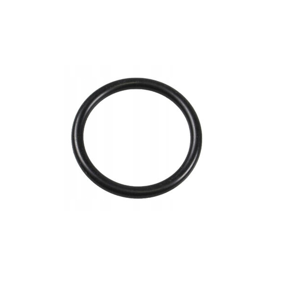 O-ring Uszczelka Kolumny Kierownicy BRP Can-Am