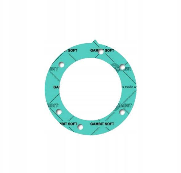 Uszczelka Flanszy Obudowy PTO BRP Sea-Doo Spark