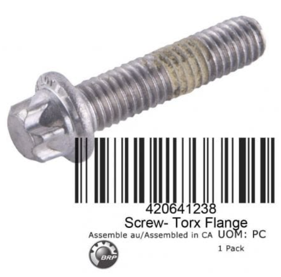 Śruba Torx M6 x 25 BRP Sea-Doo