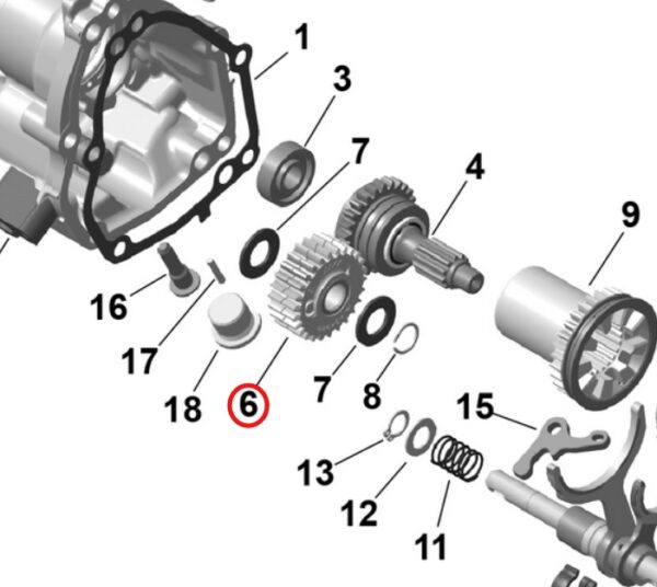 Koło Zębate Zębatka iDF BRP Sea-Doo